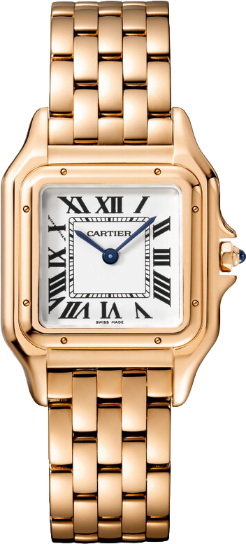 Cartier Panthère de Cartier